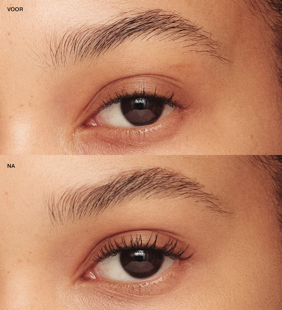 Gilded Lashes Mascara