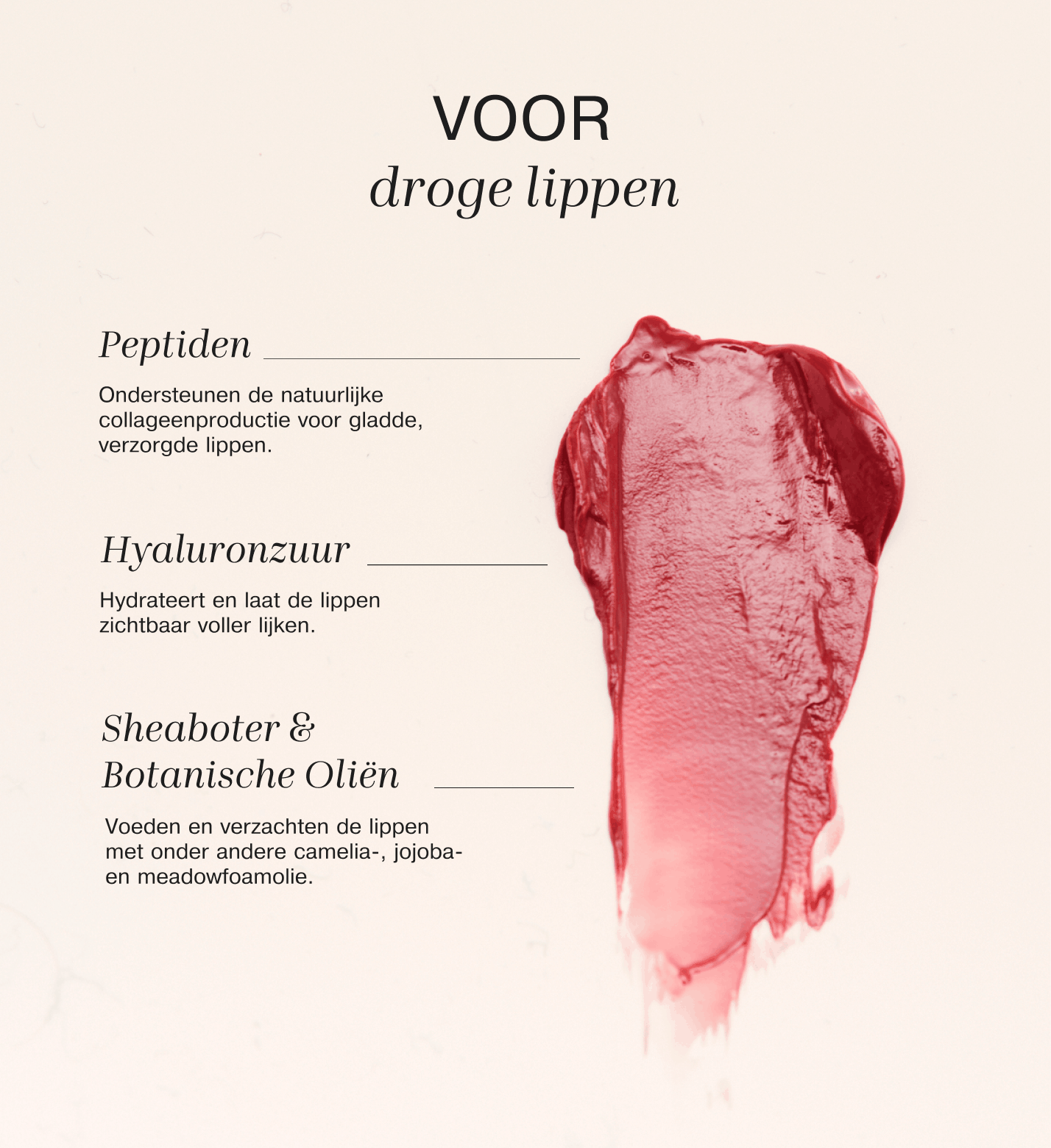 Ingrediëntenoverzicht van de Mini Lip Tint Trio met peptiden, hyaluronzuur en botanische oliën voor droge lippen.